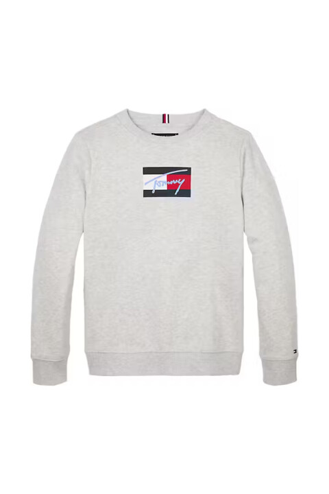Erkek Çocuk Bisiklet Yaka Grafik Baskılı Sweatshirt - Gri 
