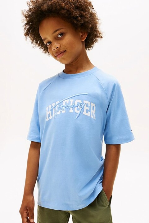 Erkek Çocuk Reglan Kollu Grafik Baskılı T-Shirt - Mavi 