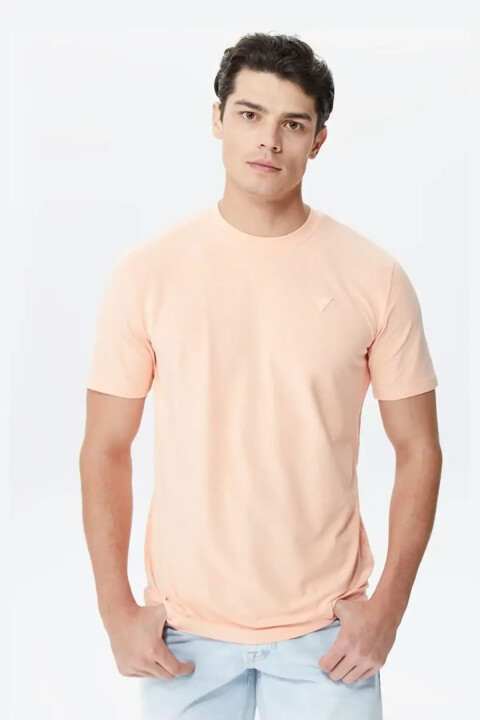 Erkek Hedley SS T-Shirt - Somon 