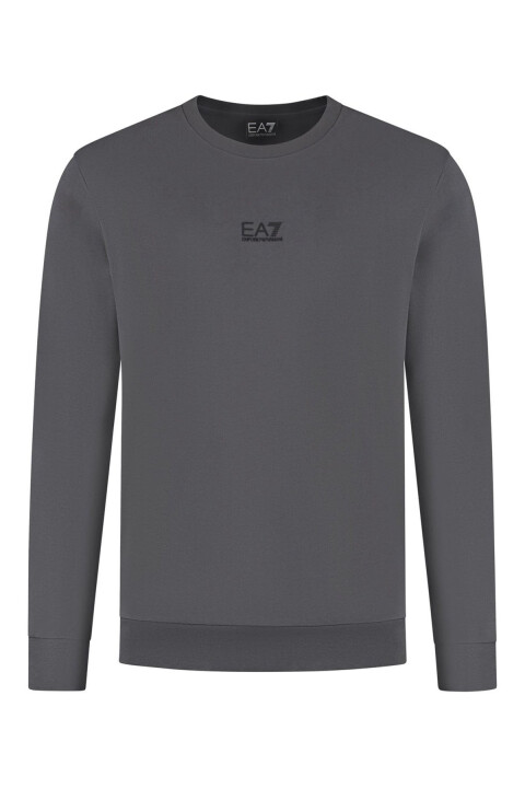 Erkek Tam Kalıp Bisiklet Yaka Logolu Sweatshirt - Gri 