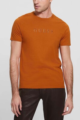 Erkek Logo İşlemeli Tişört-Tarçın 