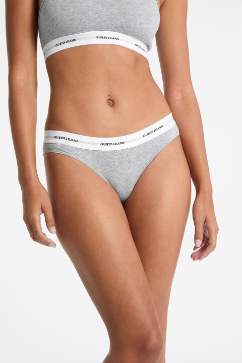 Kadın Gj Brezilya Slip - Gri 